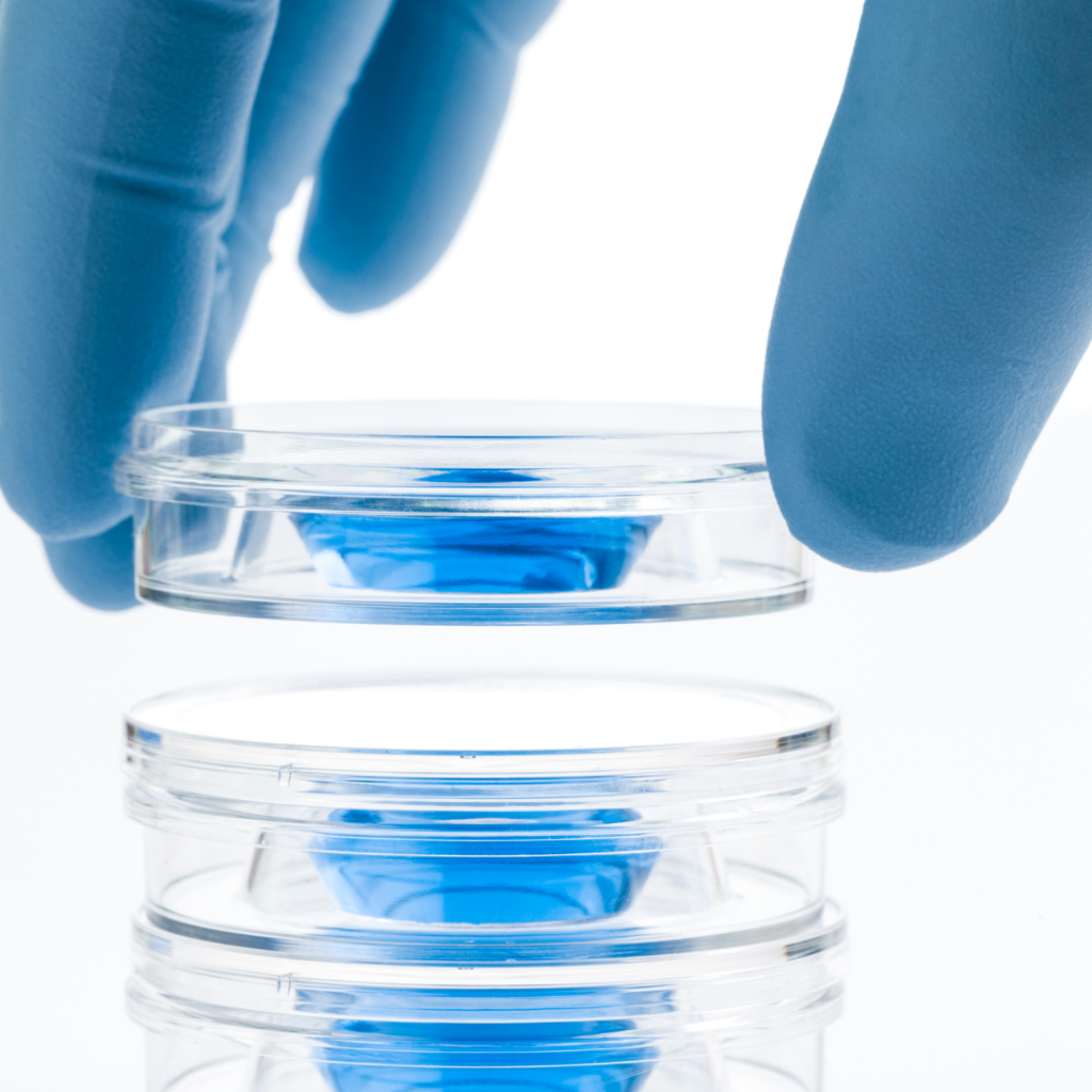 Como funciona a fertilização In Vitro